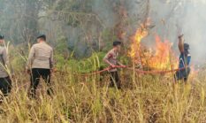 berita-pilihan-foto