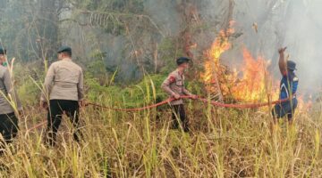 Brimob Malut Respons Cepat, Bersinergi Padamkan Kebakaran Lahan di Desa Tewil