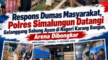 Respons Dumas Masyarakat, Polres Simalungun Datangi Gelanggang Sabung Ayam di Nagori Karang Bangun, Arena Dibongkar