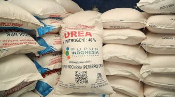 Diduga 48 Ton Pupuk Urea Subsidi Belum Diterima Petani Roburan Lombang, Kadis Pertanian segera Panggil Pemilik Kios UD Rizki
