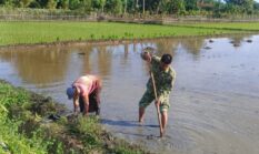 berita-pilihan-foto