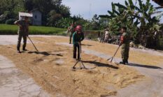berita-pilihan-foto