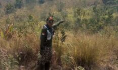 berita-pilihan-foto