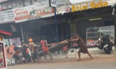 berita-pilihan-foto
